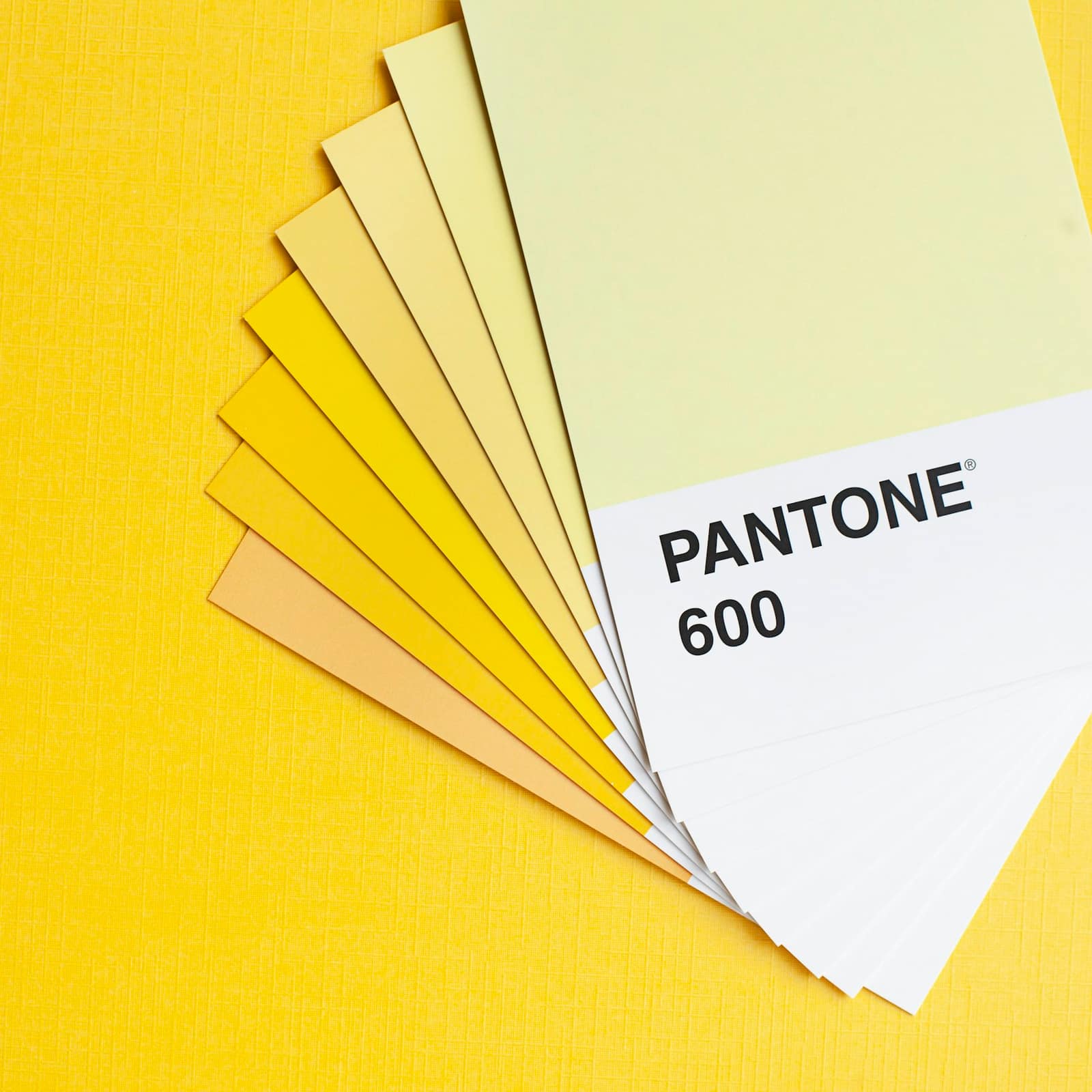 Nuancier Pantone déployé en éventail, dégradé de jaunes sur fond jaune