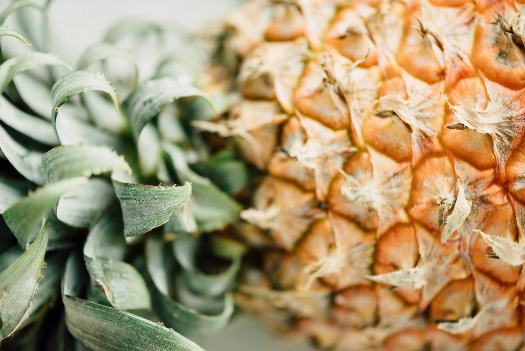 Gros plan sur l'écorce d'un ananas, ses losanges et sa couronne